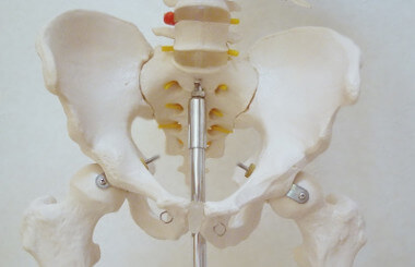 骨盤の歪みの原因